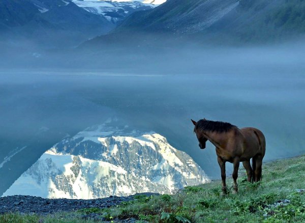Горно Алтайск гора Белуха