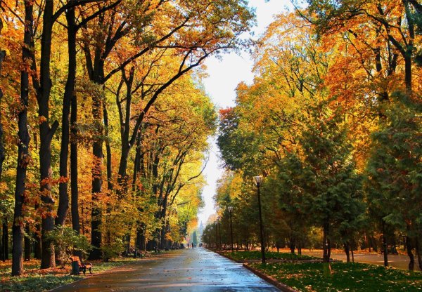 Парк Белоусова Тула