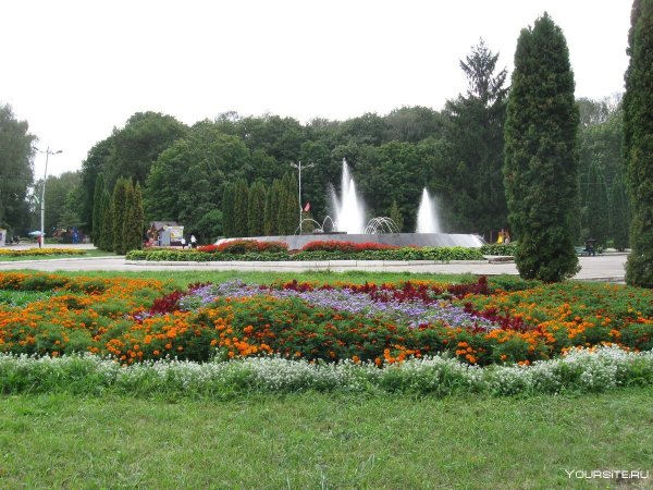 ЦПКИО Белоусова Тула