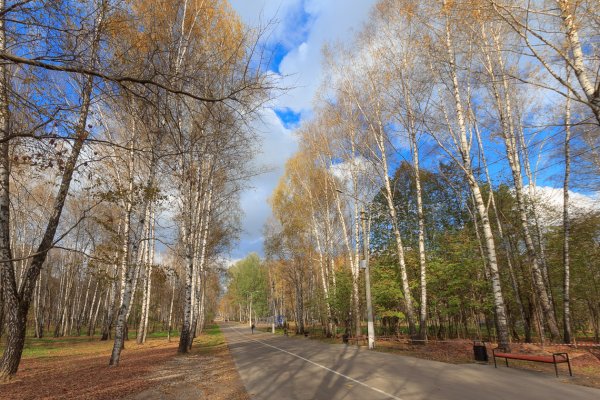 Комсомольский парк Тула