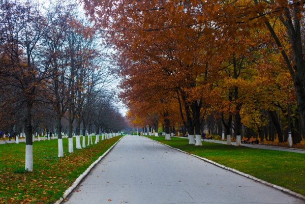 Парк Тула Белоусовский осенью