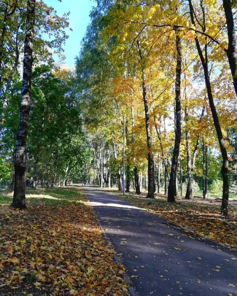Платоновский парк Тула осень