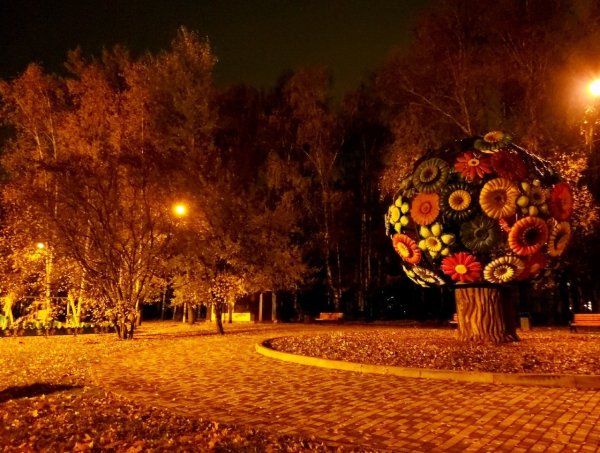 Белоусовский парк Тула ночь