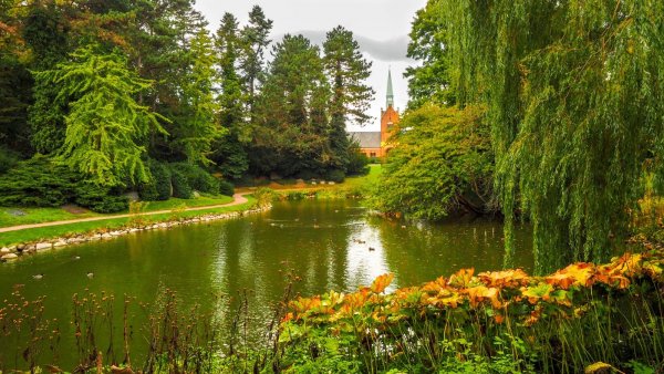 Флора Дании