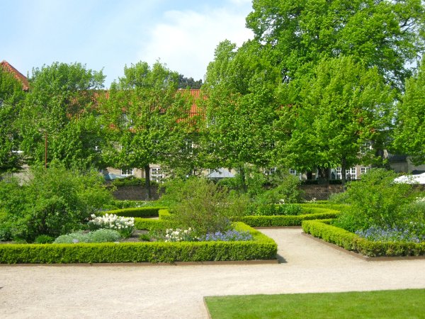 Парк Бельвиль кустарники