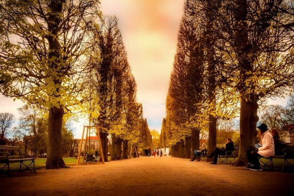 Копенгаген природа