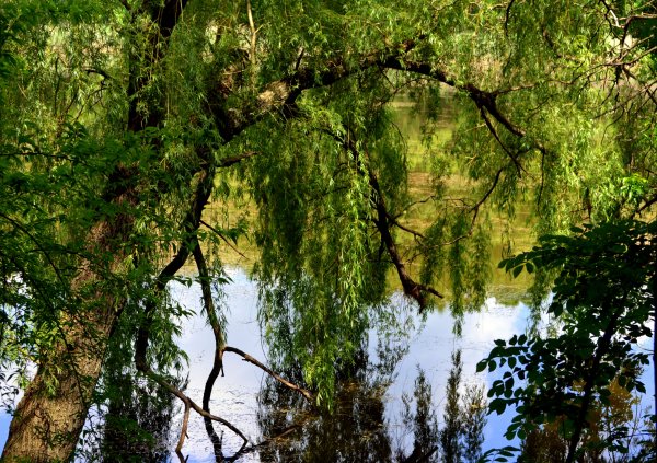 Река Ракита