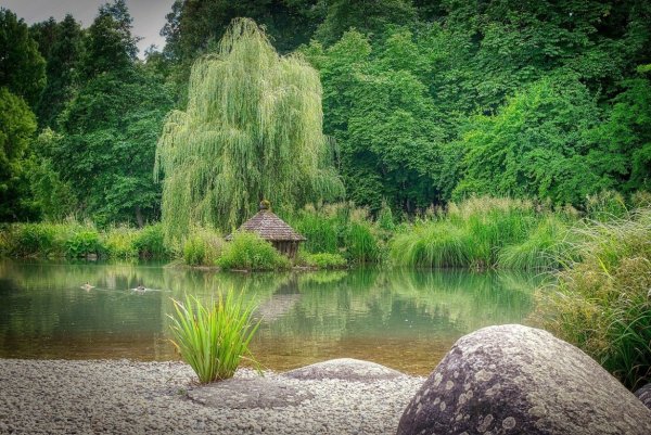 Родник с плакучей ивой