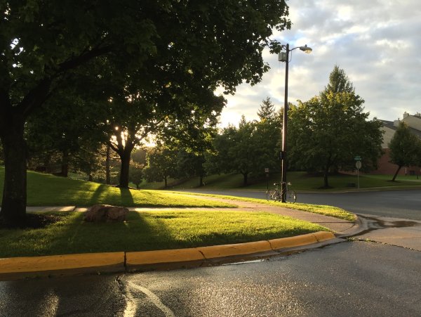 Дорожка в парке