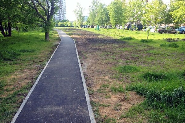 Асфальтовая дорожка