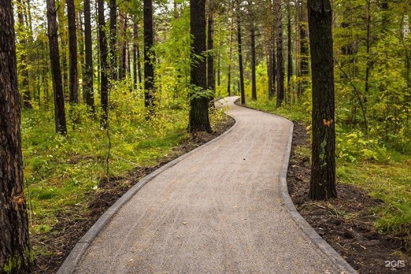 Экотропа Березовая аллея