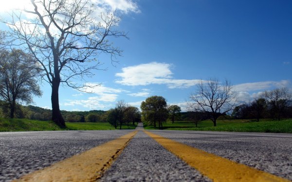 Дорога деревья Горизонт