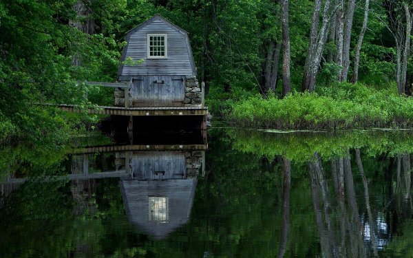 Хижина в лесу у озера