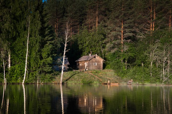 Кенозерский парк Масельга