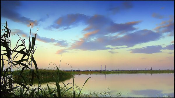 Сарпа (озеро, Волгоградская область)