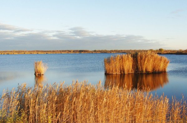 Бабинские озера Волгоградская область плавающие острова