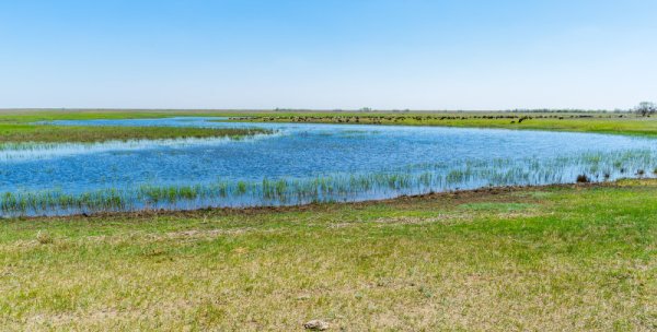 Озеро светлый Лиман Волгоградская область