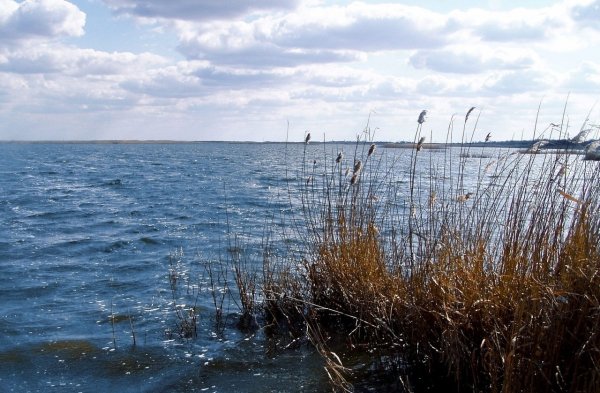 Река Сарпа Волгоград