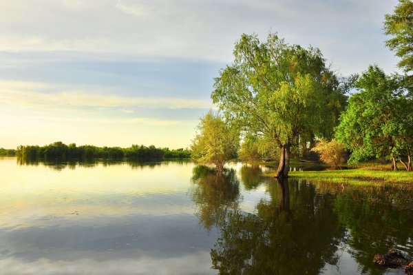 Река Волга Сарпинский