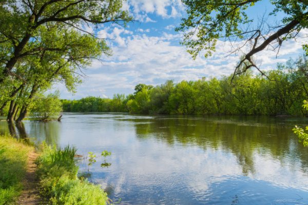 Волго-Ахтубинская Пойма