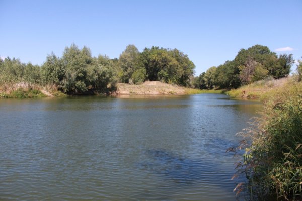 Озеро дегтярное Волгоградская область