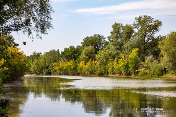 Природа острова Сарпинский Волгоград