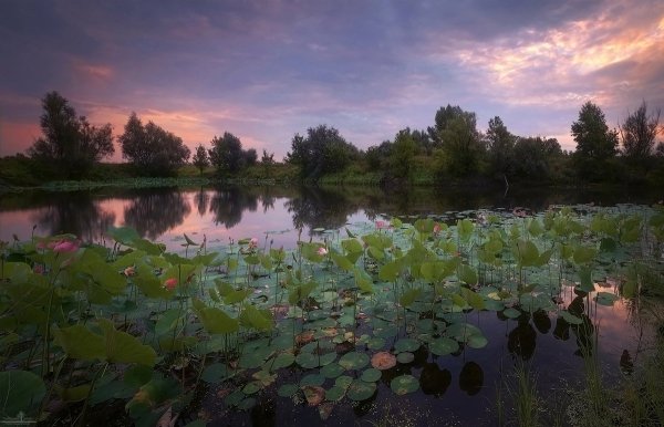 Волго Ахтубинский природный парк