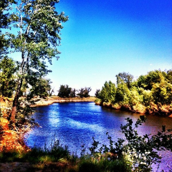 Волгоград природа