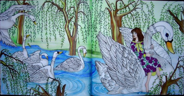 Волшебные раскраски. На озере