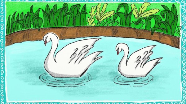 Лебеди на озере рисунок