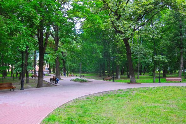 Майский парк культуры Брянск