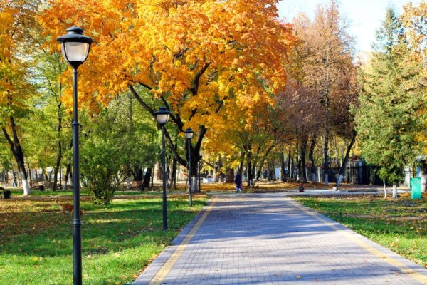 Парк ДК ЖД Брянск