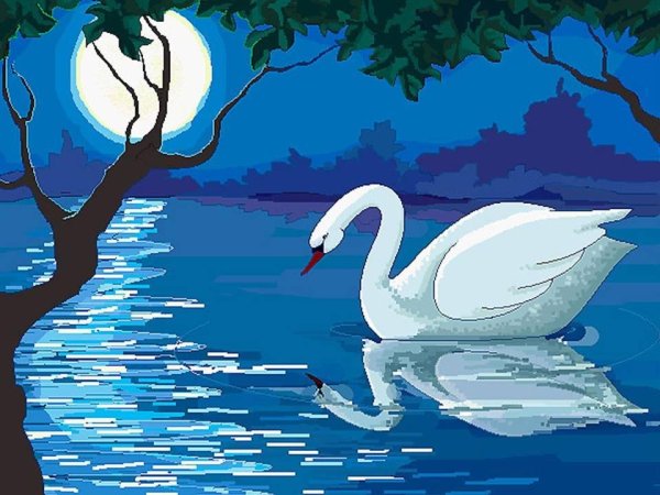 Сен Санс лебедь