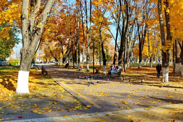 Парк ДК железнодорожников Брянск