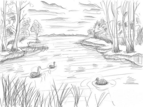 Весенний пейзаж карандашом