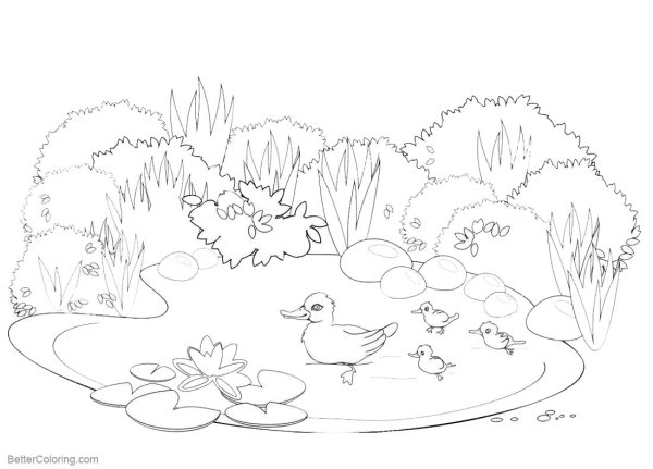 Пруд раскраска для детей