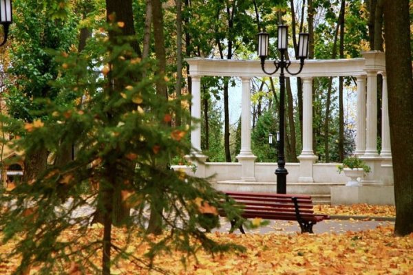 Парк Толстого Брянск осенью