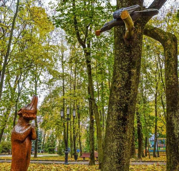 Парк Толстого Брянск Лесной музыкант
