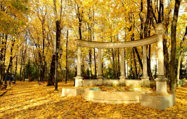 Парк имени Толстого