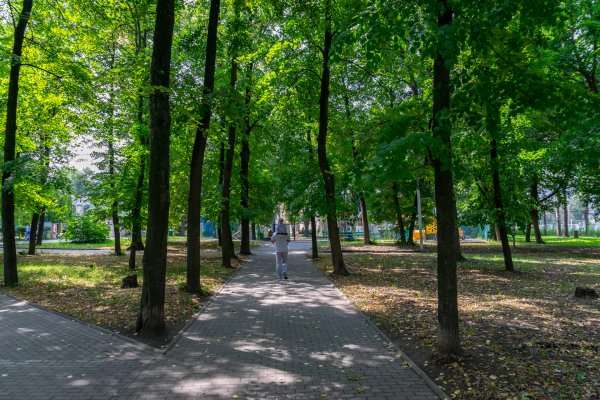 Парк железнодорожников Рязань