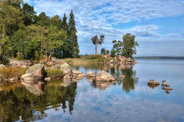 Парк заповедник Монрепо