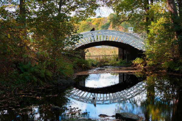 Парк Монрепо в Выборге