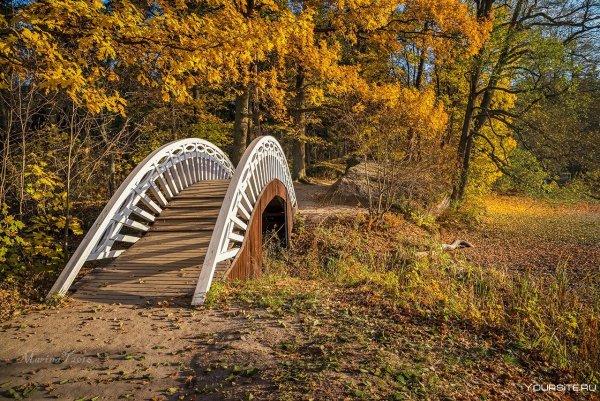 Парк Монрепо в Выборге