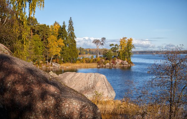 Пейзажному парку Монрепо.