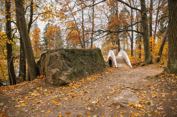 Парк Монрепо в Выборге осень