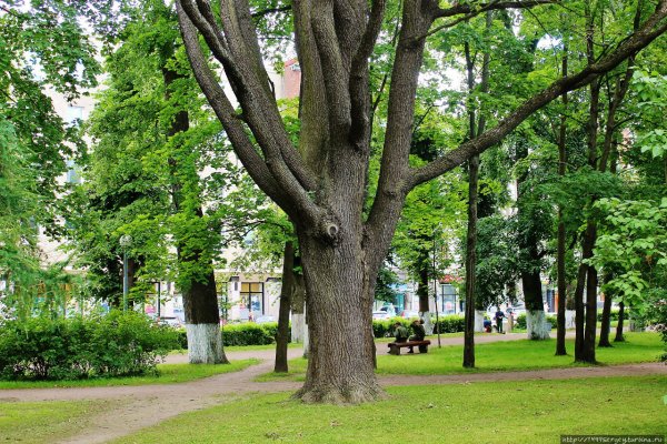 Парк Ленина Выборг