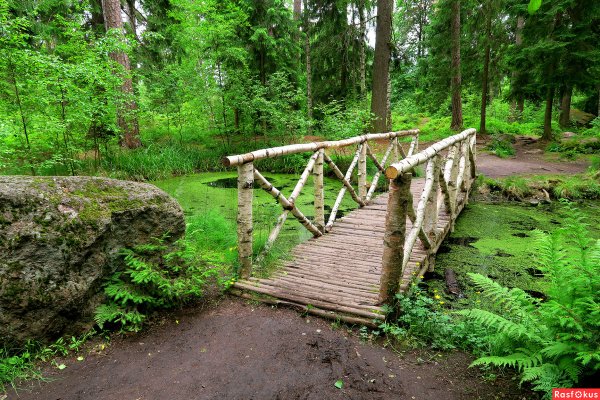 Парк Монрепо лето