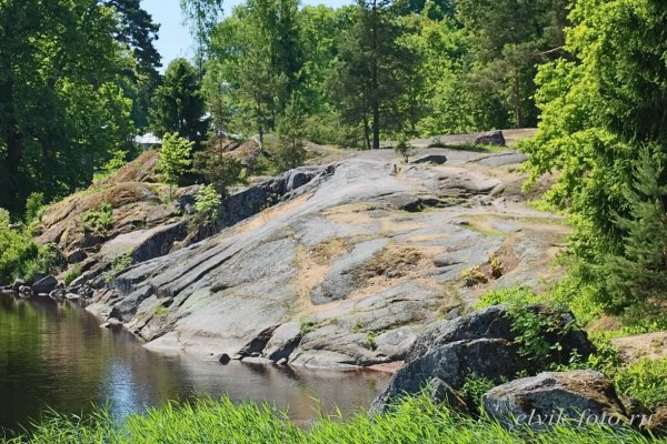 Музей заповедник Монрепо