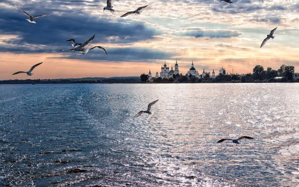 Ростов на Дону озеро Неро