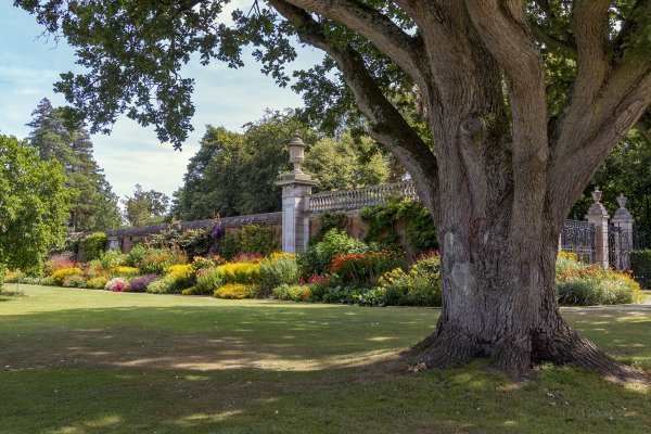 Клайвден (Англия) парк